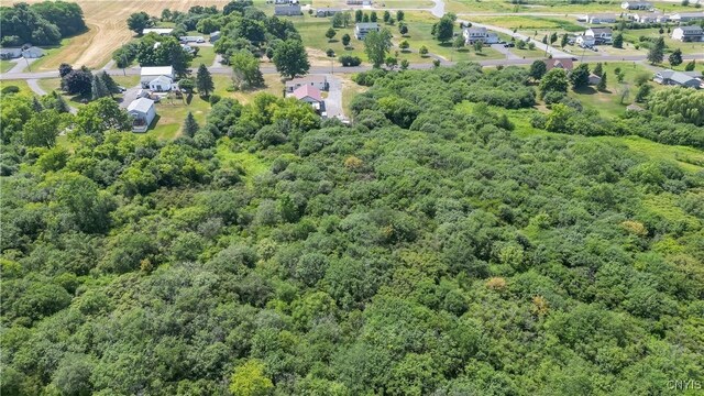 24136 State Route 37, Pamelia, NY 13601 - photo 46