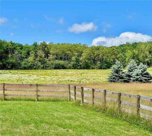 1921 Ray Roberts Rd, Reading, NY 14891 - photo 46