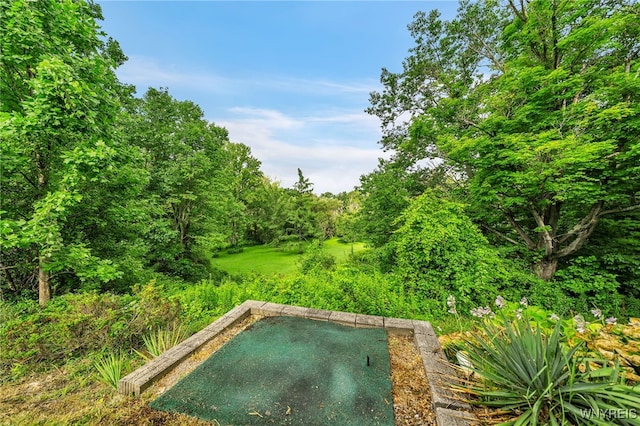 5036 Merlau Rd, Wales, NY 14052 - photo 8