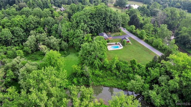 5036 Merlau Rd, Wales, NY 14052 - photo 9