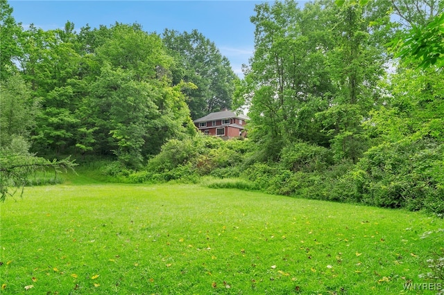 5036 Merlau Rd, Wales, NY 14052 - photo 10