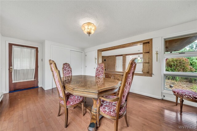 5036 Merlau Rd, Wales, NY 14052 - photo 34