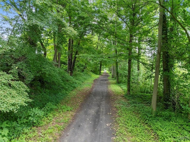 6895 Hughes Rd E, Marshall, NY 13328 - photo 47