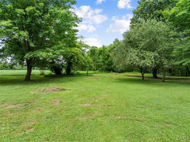 6895 Hughes Rd E, Marshall, NY 13328 - photo 9