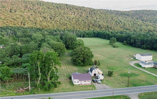 310 County Road 16, Orange, NY 14870 - photo 1