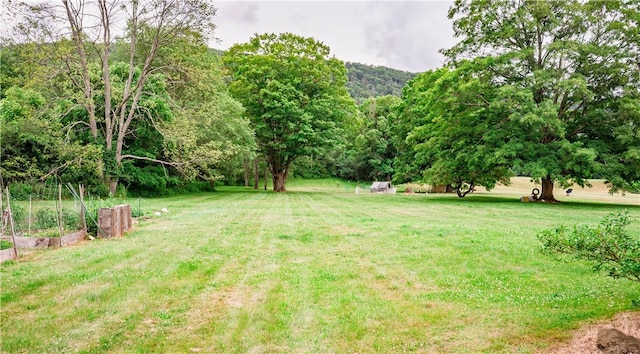 310 County Road 16, Orange, NY 14870 - photo 29
