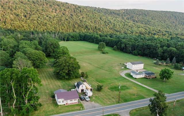 310 County Road 16, Orange, NY 14870 - photo 38