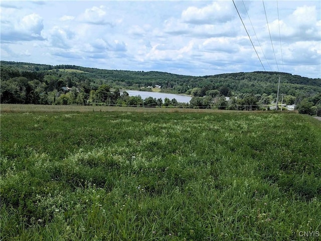 4350 Smith Pond Rd, Avoca, NY 14809 - photo 13