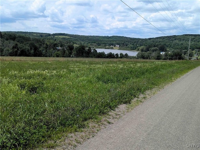 4350 Smith Pond Rd, Avoca, NY 14809 - photo 15