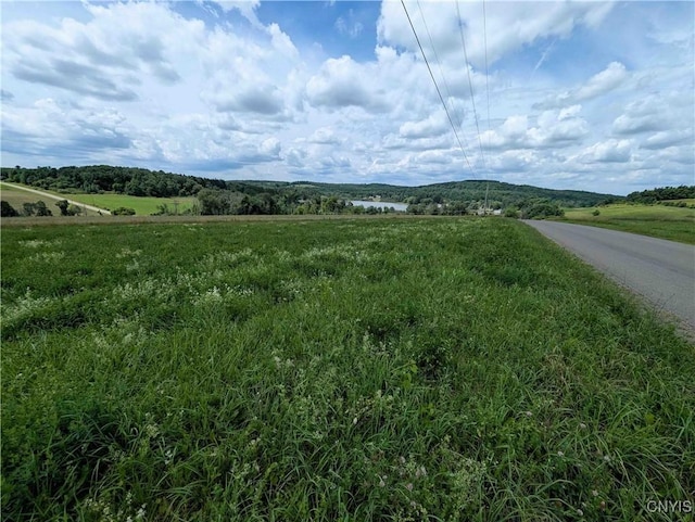 4350 Smith Pond Rd, Avoca, NY 14809 - photo 16