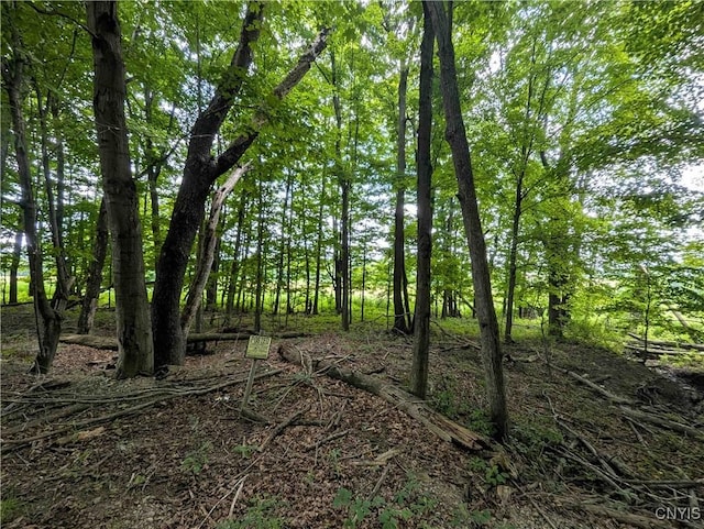 4350 Smith Pond Rd, Avoca, NY 14809 - photo 18