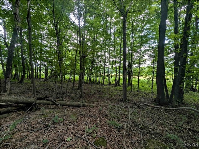 4350 Smith Pond Rd, Avoca, NY 14809 - photo 19