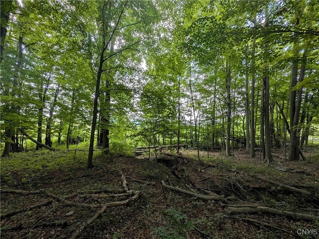 4350 Smith Pond Rd, Avoca, NY 14809 - photo 20