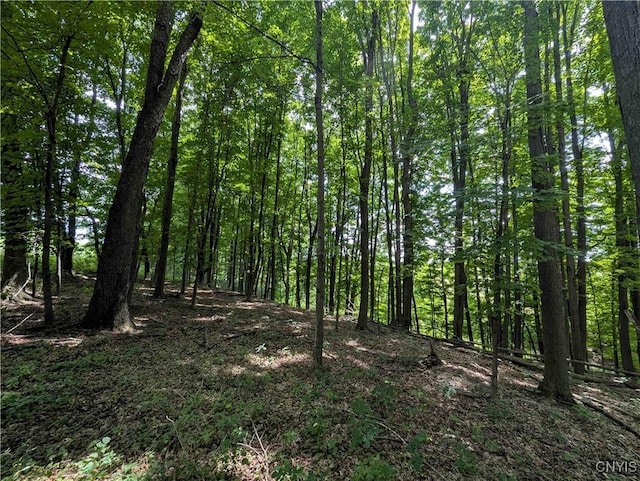 4350 Smith Pond Rd, Avoca, NY 14809 - photo 21