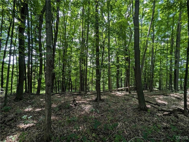 4350 Smith Pond Rd, Avoca, NY 14809 - photo 22