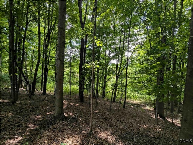 4350 Smith Pond Rd, Avoca, NY 14809 - photo 23