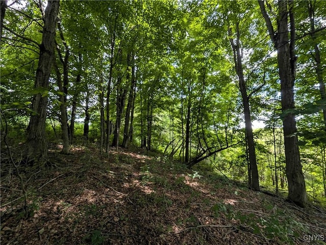 4350 Smith Pond Rd, Avoca, NY 14809 - photo 24