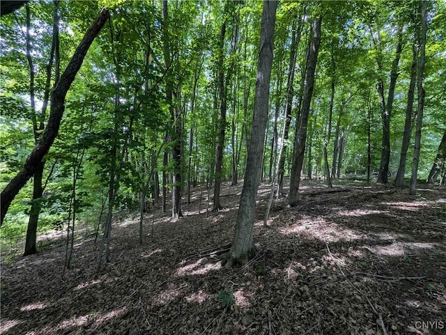 4350 Smith Pond Rd, Avoca, NY 14809 - photo 25
