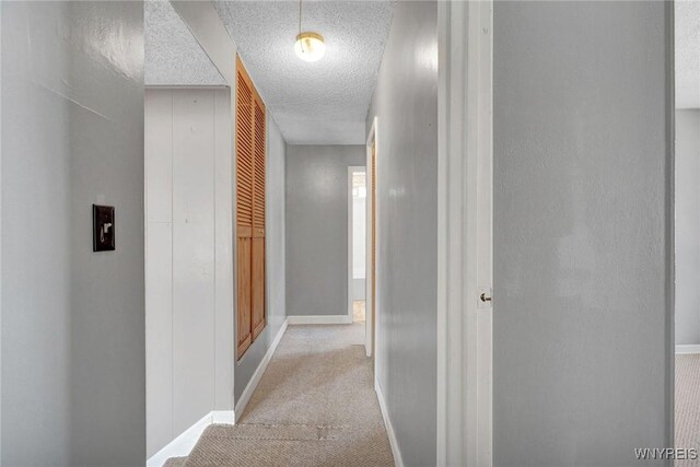 22 Idlebrook Dr, Cheektowaga, NY 14225 - photo 20