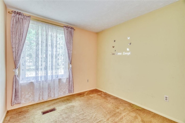 26 Donlin Dr, Ogden, NY 14624 - photo 28
