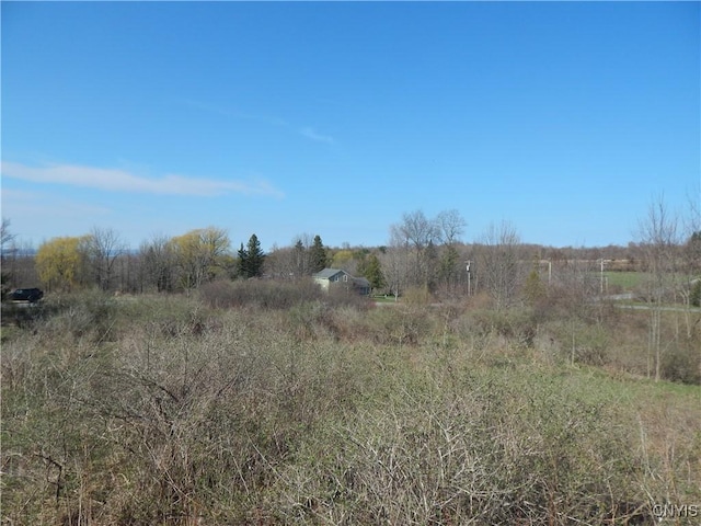 3918 Alene Corners Rd, Lincoln, NY 13032 - photo 12