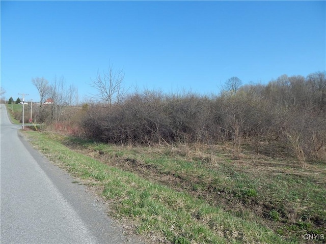 3918 Alene Corners Rd, Lincoln, NY 13032 - photo 2
