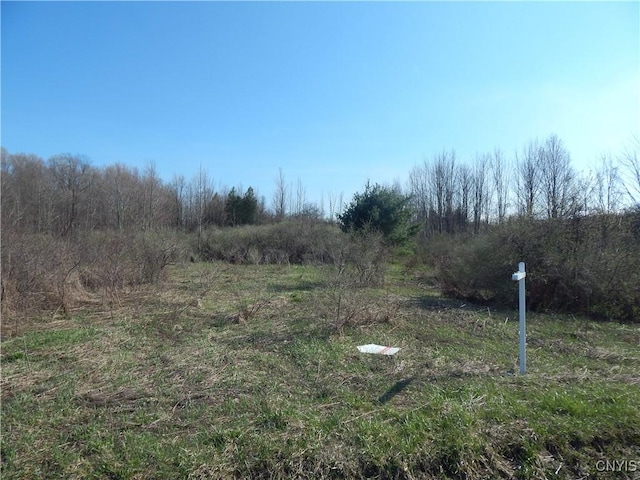 3918 Alene Corners Rd, Lincoln, NY 13032 - photo 4