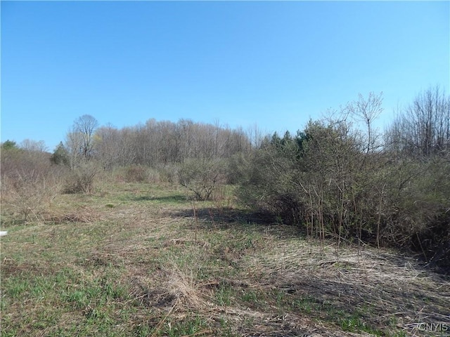 3918 Alene Corners Rd, Lincoln, NY 13032 - photo 5