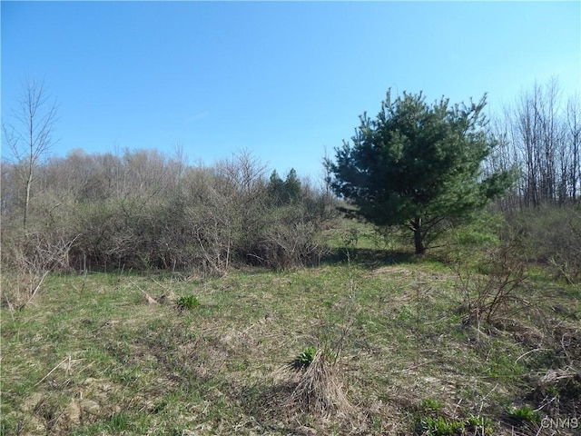 3918 Alene Corners Rd, Lincoln, NY 13032 - photo 6
