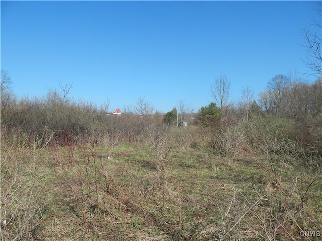 3918 Alene Corners Rd, Lincoln, NY 13032 - photo 7