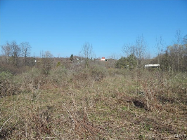 3918 Alene Corners Rd, Lincoln, NY 13032 - photo 8