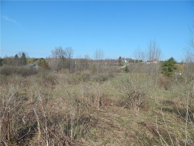 3918 Alene Corners Rd, Lincoln, NY 13032 - photo 9