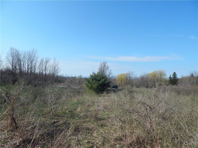 3918 Alene Corners Rd, Lincoln, NY 13032 - photo 10