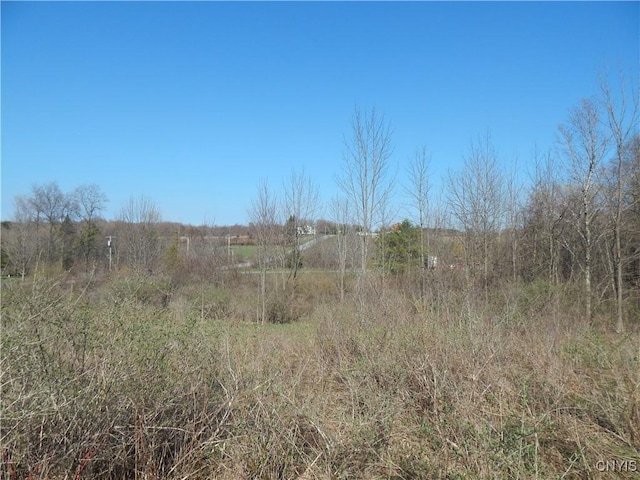 3918 Alene Corners Rd, Lincoln, NY 13032 - photo 11