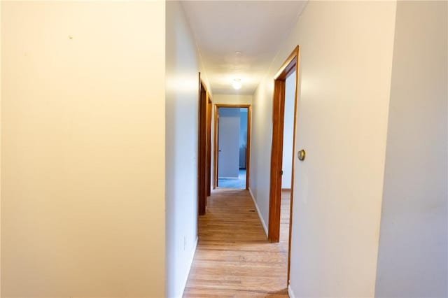 22 Shadywood Dr, Gates, NY 14606 - photo 30
