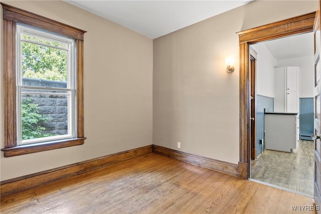 329 Huntington Ave, Buffalo, NY 14214 - photo 21