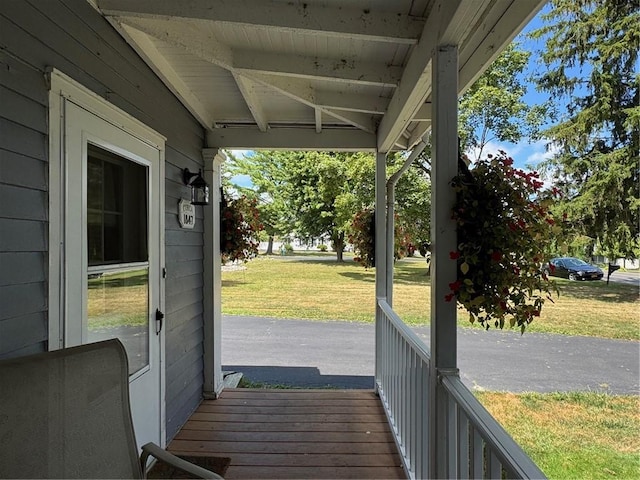 548 White Springs Rd, Geneva Town, NY 14456 - photo 42