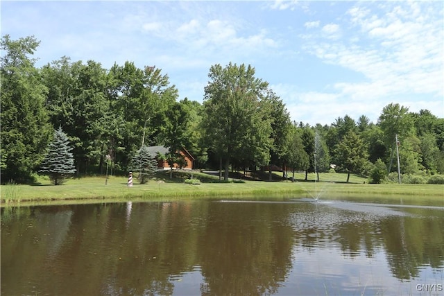 833 State Highway 3, Pitcairn, NY 13648 - photo 34