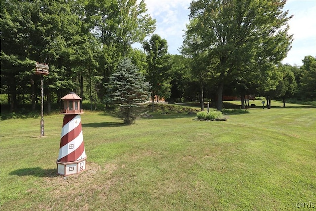 833 State Highway 3, Pitcairn, NY 13648 - photo 35