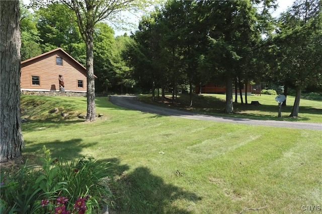 833 State Highway 3, Pitcairn, NY 13648 - photo 36