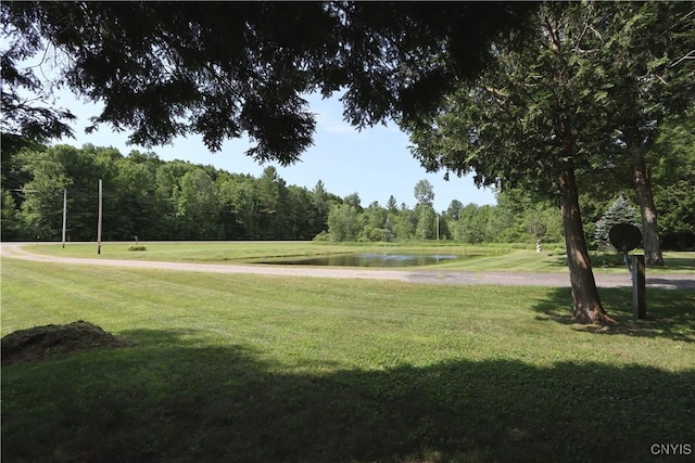 833 State Highway 3, Pitcairn, NY 13648 - photo 42