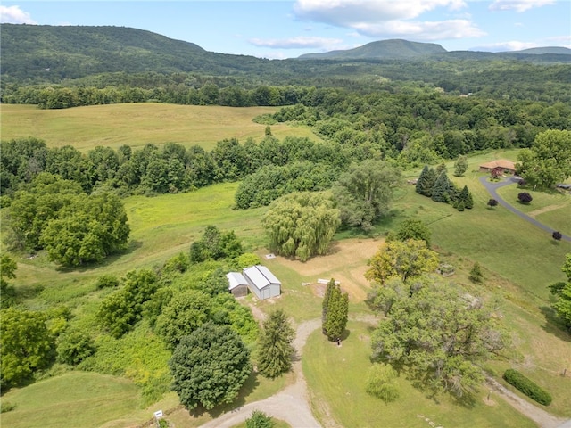 8804 State Route 21, Naples, NY 14512 - photo 20