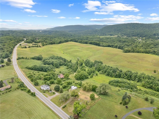 8804 State Route 21, Naples, NY 14512 - photo 21