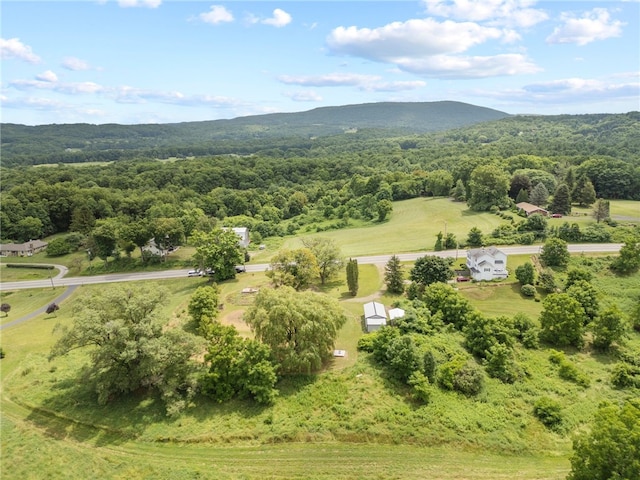 8804 State Route 21, Naples, NY 14512 - photo 22