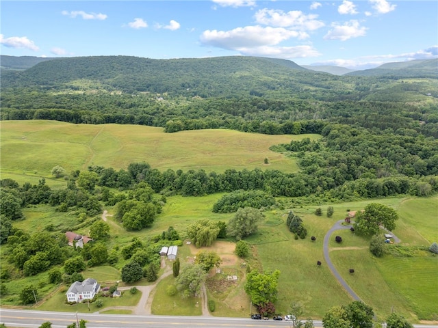 8804 State Route 21, Naples, NY 14512 - photo 23