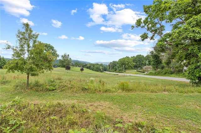 8804 State Route 21, Naples, NY 14512 - photo 2