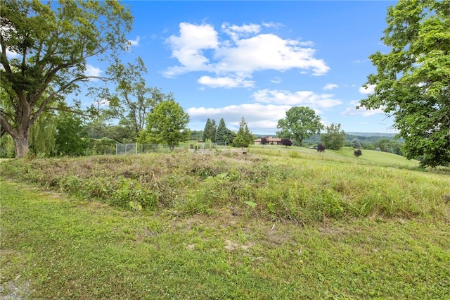 8804 State Route 21, Naples, NY 14512 - photo 3