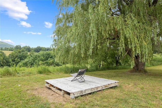 8804 State Route 21, Naples, NY 14512 - photo 4