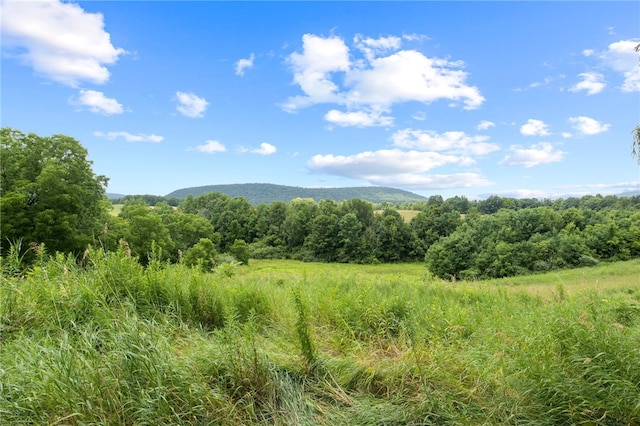 8804 State Route 21, Naples, NY 14512 - photo 6