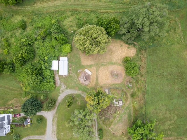 8804 State Route 21, Naples, NY 14512 - photo 19